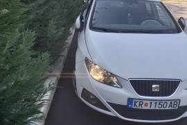 Seat Ibiza Copa 2011 godina